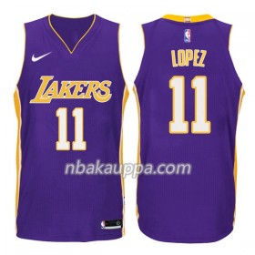 Los Angeles Lakers Brook Lopez 11 Nike 2017-18 Violetti Pelipaidat Swingman - Miesten